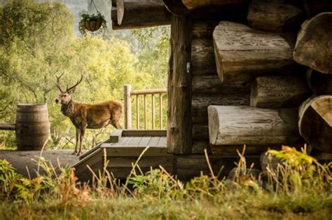 looknbook red deer|Log on .